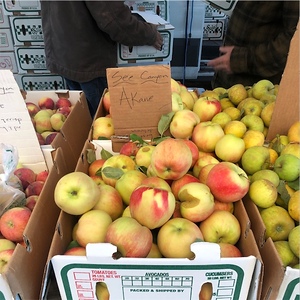 Akane Apples Information and Facts