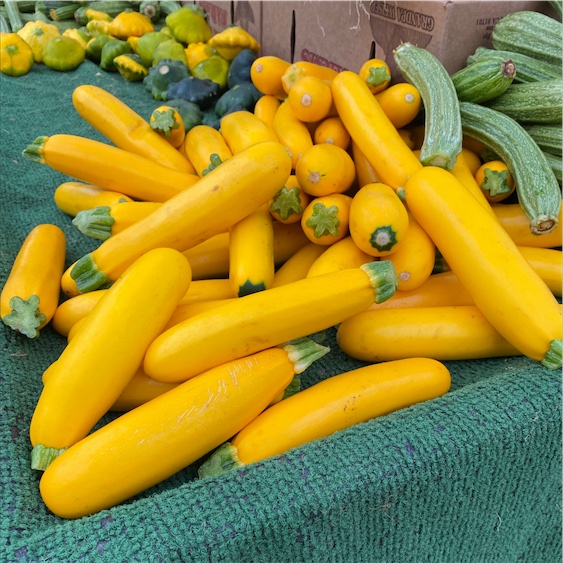 Gold Bar Squash Information, Recipes and Facts