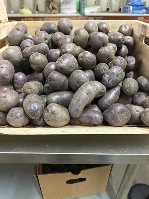 Zingy® Apples Information and Facts