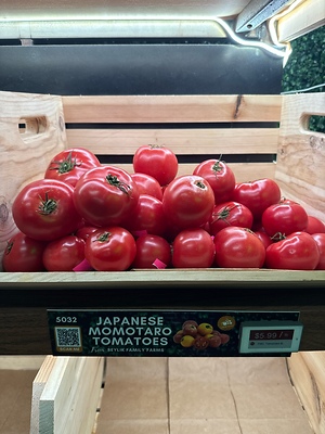 Japanese Momotaro Tomatoes Information and Facts