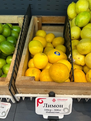 Japanese Shi Shi Yuzu Information and Facts