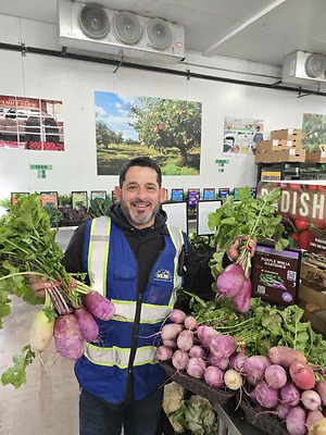 Purple Ninja Radishes Information and Facts