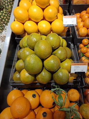 Gold Nugget Tangerines Information and Facts