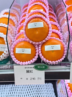 Hamasaki Oranges Information and Facts