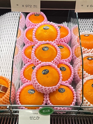 Setoka Oranges Information and Facts