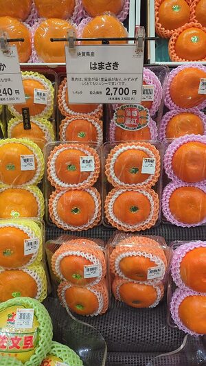 Hamasaki Oranges Information and Facts