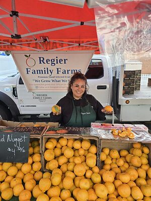 Gold Nugget Tangerines Information and Facts