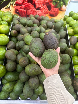 Hass Avocados Information And Facts