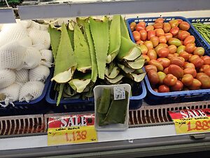Aloe Information and Facts