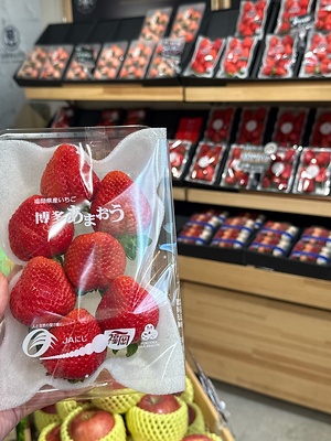 Amaou Strawberries Information and Facts
