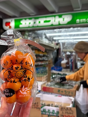 Kinkan Kumquats Information and Facts