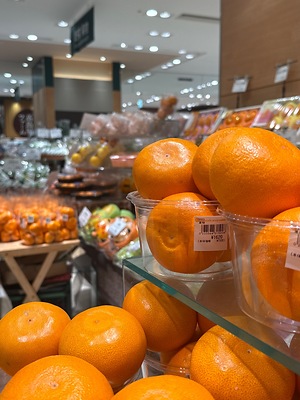 Setoka Oranges Information and Facts