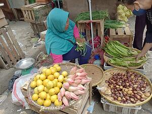 Kecombrang Information and Facts