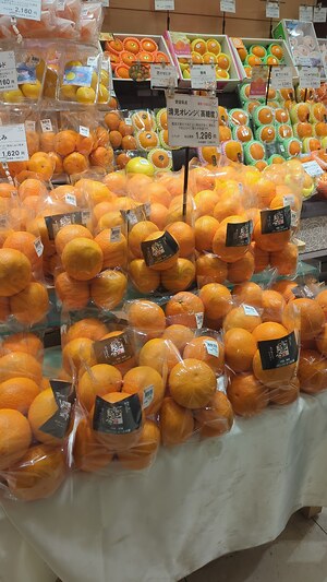 Kiyomi Oranges Information and Facts