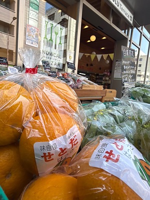 Hassaku Oranges Information and Facts