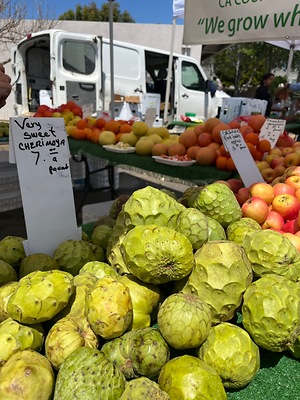 elfbar nachfüll pod läuft aus Cherimoya Information and Facts