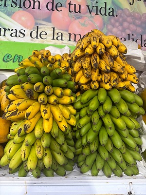 Next716 Bananas Information and Facts