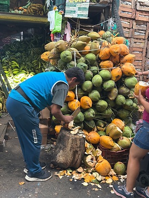 Coco Enano Coconuts Information and Facts