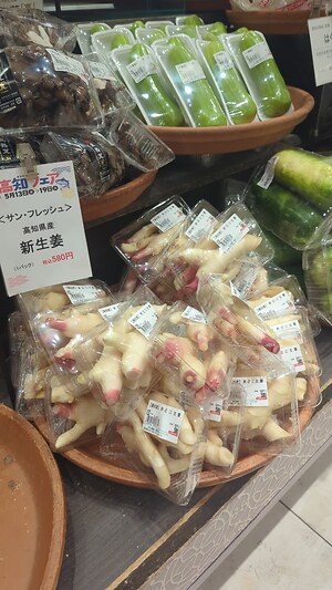 Japanese Shi Shi Yuzu Information and Facts