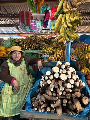 Yuca Root Information and Facts