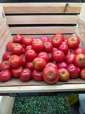 Japanese Momotaro Tomatoes Information and Facts
