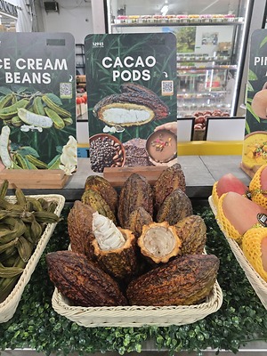 Satoimo Root (Taro) Information and Facts