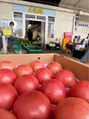 Japanese Momotaro Tomatoes Information and Facts