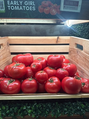 Japanese Momotaro Tomatoes Information and Facts