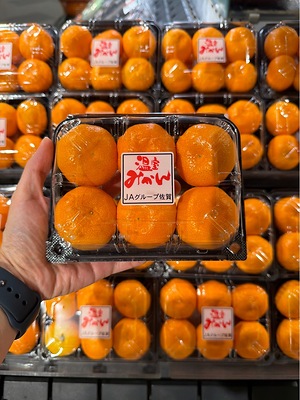 Japanese Mikan Oranges Information and Facts