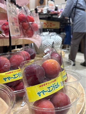 Japanese Summer Angel Plums Information and Facts