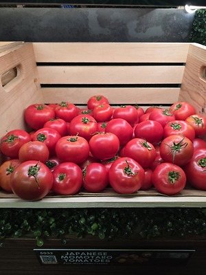 Japanese Momotaro Tomatoes Information and Facts