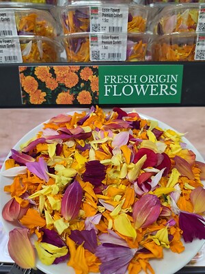 Japanese Mikan Oranges Information and Facts