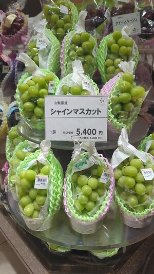 Japanese Shi Shi Yuzu Information and Facts