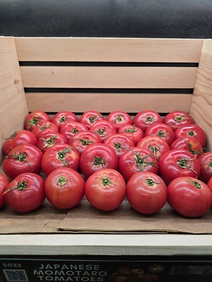 金華山とまとページです☆ Japanese Momotaro Tomatoes Information and Facts