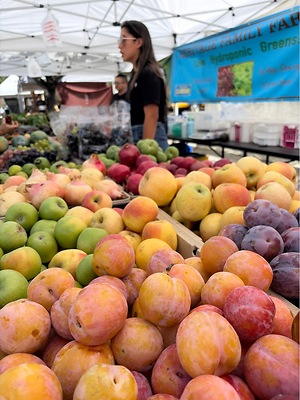 Pluots Information and Facts