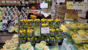 Japanese Mikan Oranges Information and Facts