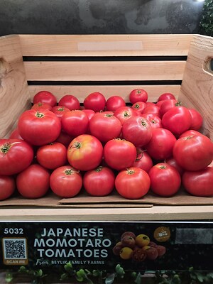 Japanese Momotaro Tomatoes Information and Facts