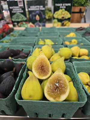 アケビのす Akebia quinata – Five-leaved Akebia – Tripple Brook Farm