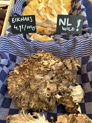 Maitake Mushrooms Information and Facts