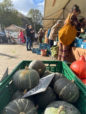 Kabocha Squash Information and Facts