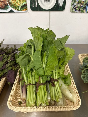 Kouryoku Kiwi Information and Facts