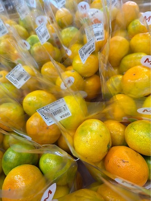 Japanese Mikan Oranges Information and Facts